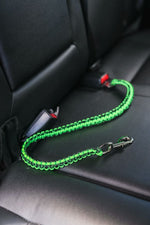 Dog seat belt