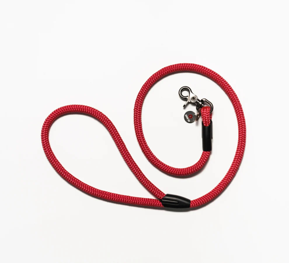 Dog Leash Headrest