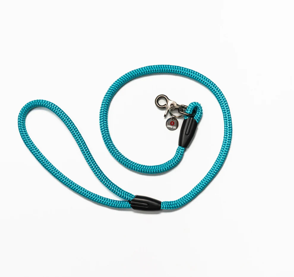 Dog Leash Headrest
