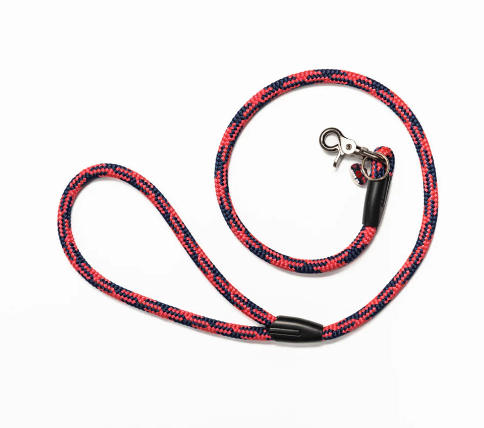 Dog Leash Headrest