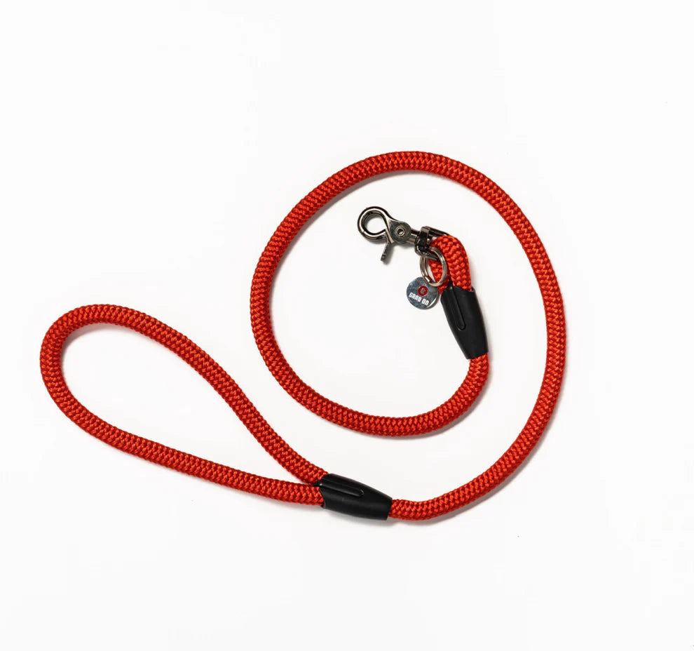 Dog Leash Headrest