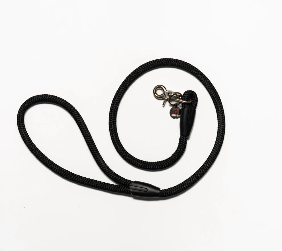 Dog Leash Headrest
