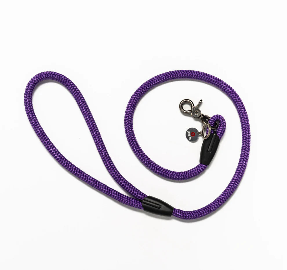 Dog Leash Headrest