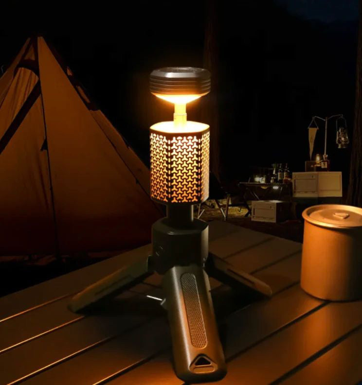 WildTorch