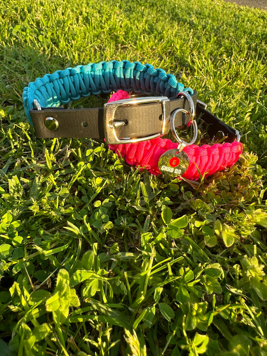 Adjustable Dog Collar