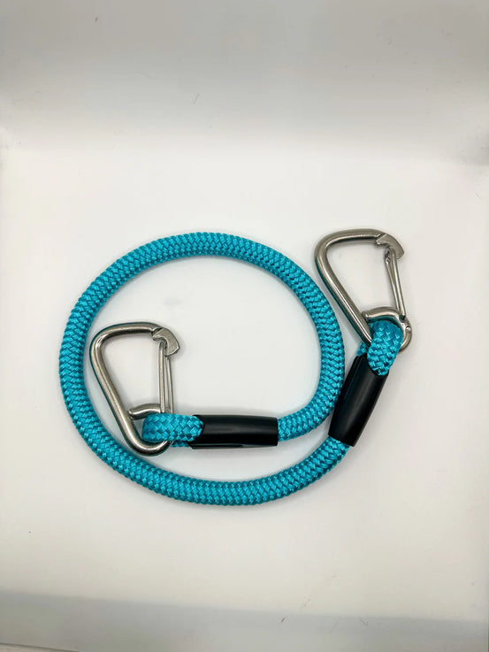 Dog Tray Lead