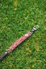 Adjustable Dog Collar