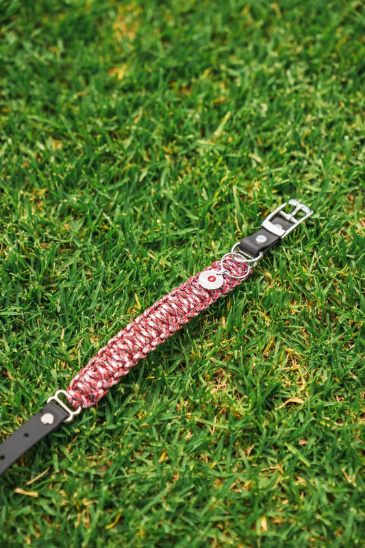 Adjustable Dog Collar