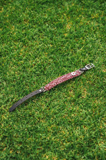 Adjustable Dog Collar