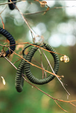 Survival Paracord Bracelet