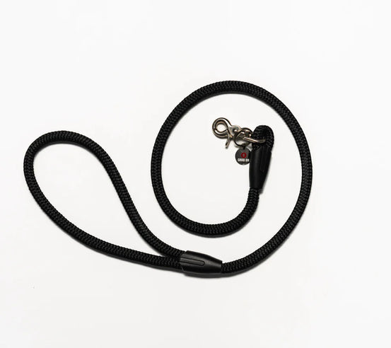 Dog Leash Headrest