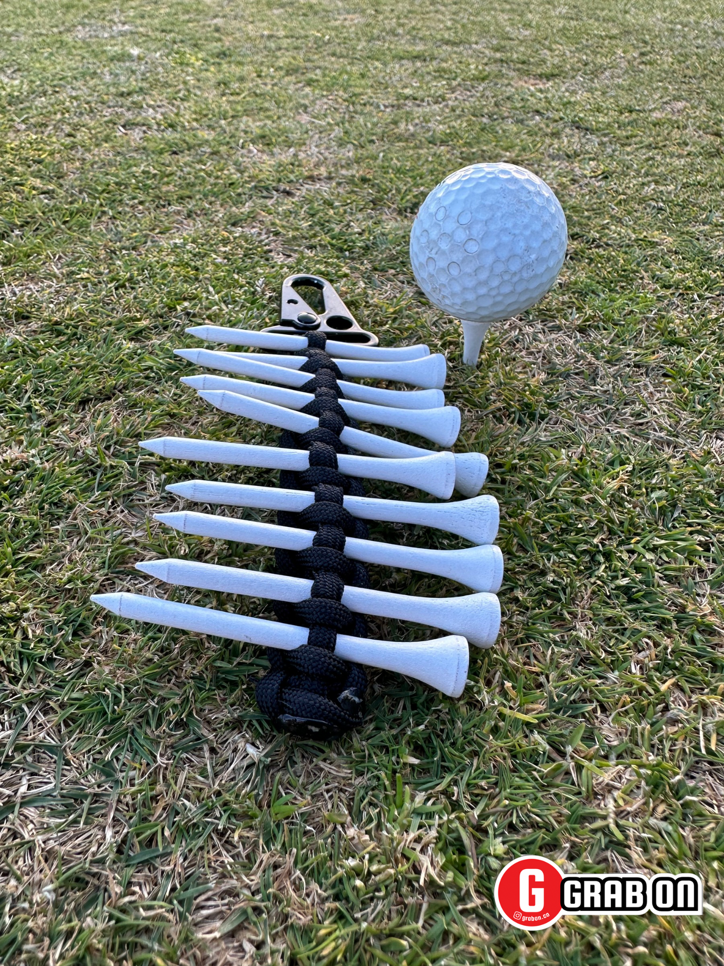 Golf Tee Holder